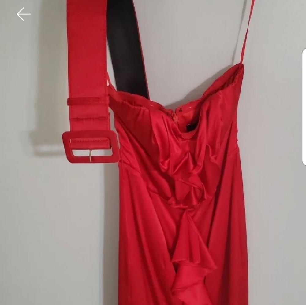 Express red dress